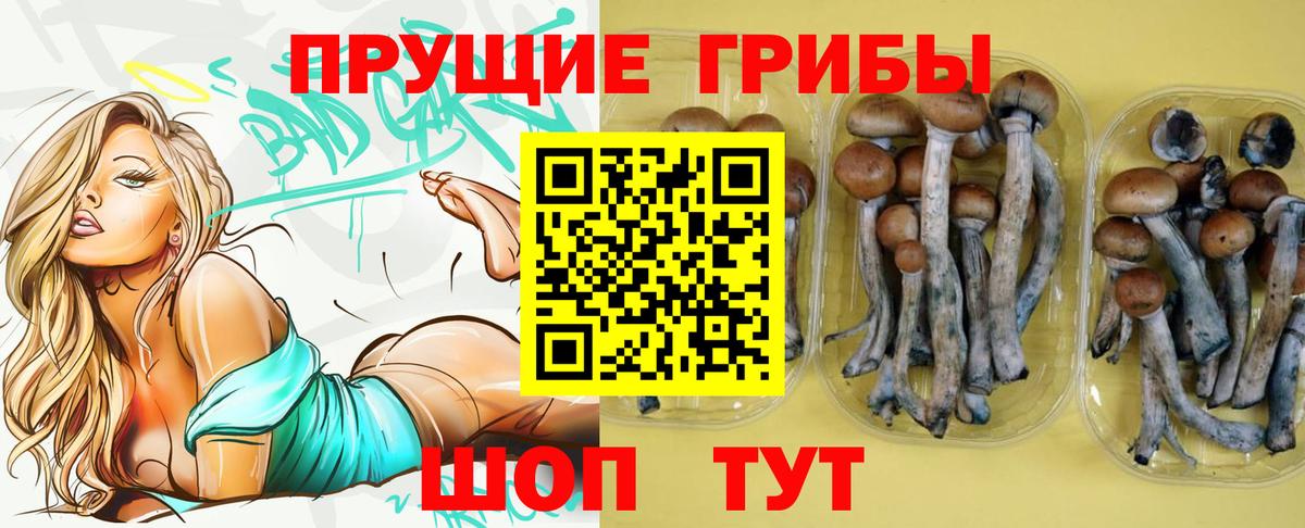 Галлюциногенные грибы мухоморы  Вход с VPN  Осинники  Галлюциногенные грибы Cubensis 